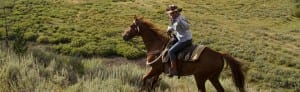 Horse riding in The Ranch