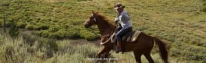 Horse Riding At The Ranch
