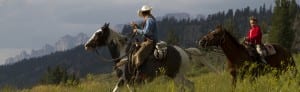Horse Riding