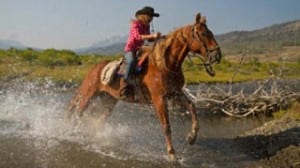 Horse riding