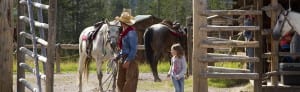 Cow boy with horses