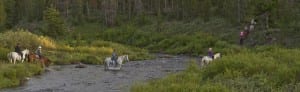 Horse riders in The Ranch