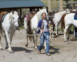 Beautiful White Horses at the Triangle C Ranch